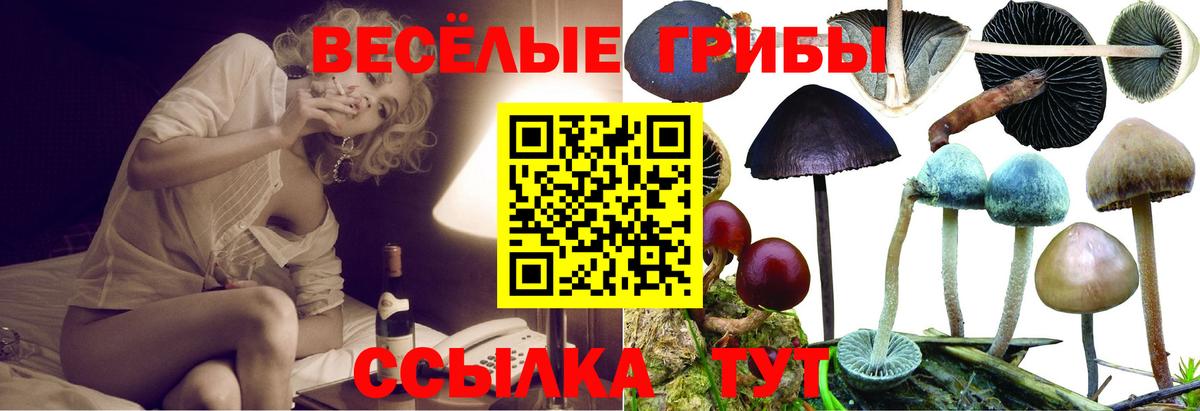 Псилоцибиновые грибы прущие грибы Зеленогорск