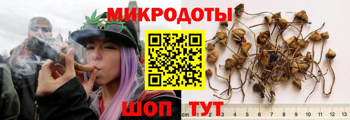 Галлюциногенные грибы MAGIC MUSHROOMS  Псилоцибиновые грибы мухоморы  Зеленогорск  Вход с VPN 