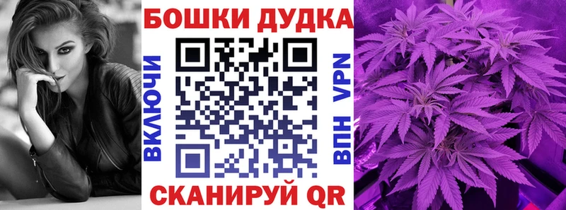 Конопля SATIVA & INDICA  кракен онион  Зеленогорск  даркнет какой сайт  купить наркоту 