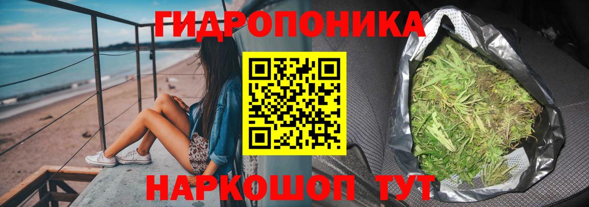 Канабис AK-47  Вход с VPN  Зеленогорск  Каннабис VHQ  Конопля SATIVA & INDICA  Бошки Шишки AK-47 